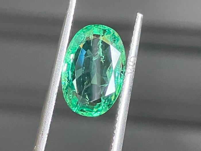 1 pcs Green Emerald - 2.67 ct