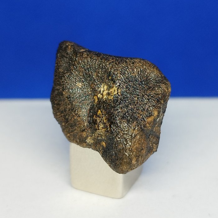 TOLL!!! CAMEL DONGA (AUSTRALIEN, 1984). Eukrit-Meteorit. 100 % Schmelzkruste mit Fließlinien!!! MUSEUMS-Qualität. Sehr selten!!!- 6.8 g