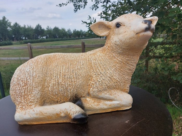 life size and a lifelike (Texel lamb) (1) – polyresin