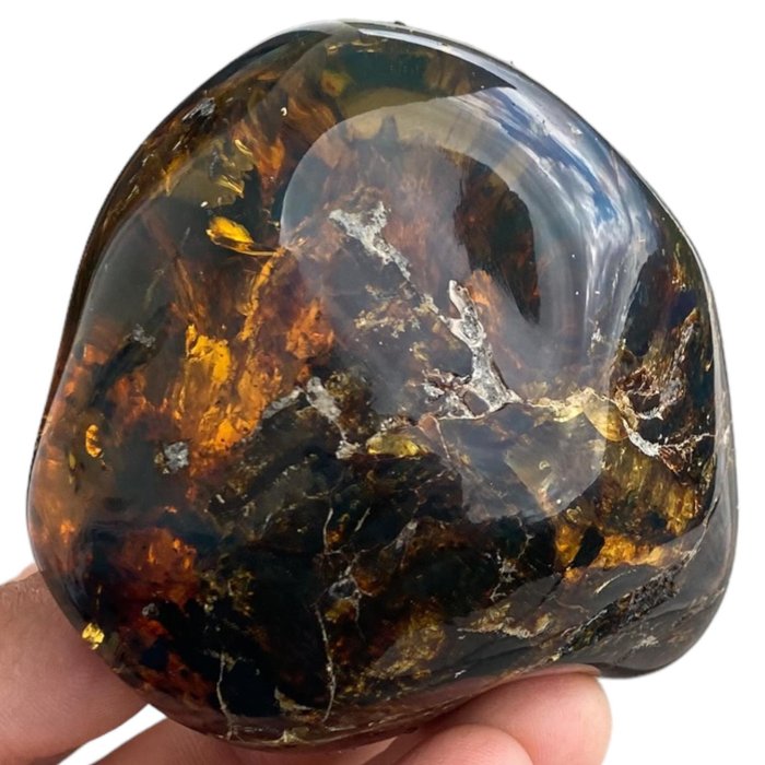 Vrije vorm Chiapas Amber - Barnsteen - 84.4 mm - 77.5 mm