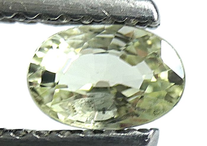 Luminous yellow sapphire - no reserve price - 0.60 ct
