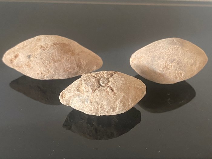 Romain antique, République Plomb Glans ou balles à fronde romaine (3) -  Catawiki