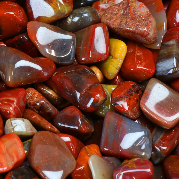 'Arizona Red' Petrified Wood - Tumbled Stones - Wholesale Lot- 1 kg