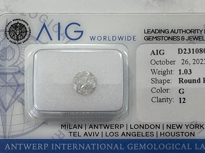 1 pcs Diamant - 1.03 ct - Brillant - G - I2