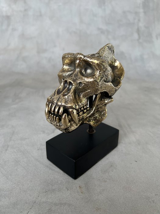Sculptură, NO RESERVE PRICE - Gorilla Skull Sculpture - 15 cm - Bronz