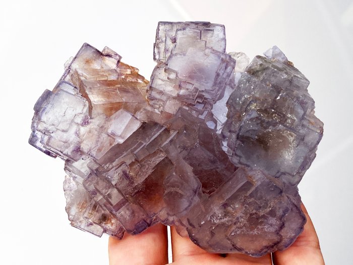 惊人的透明多彩萤石 水晶 - 高度: 11 cm - 宽度: 9 cm- 419 g