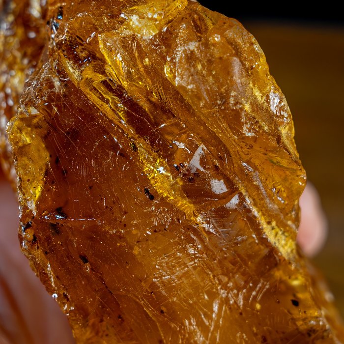 Zeer zeldzame natuurlijke Amber Raw "met insecten" Rusland, 659,2 ct- 131.84 g