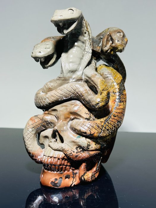 Meerkleurige Jasper-schedel met 3 cobra's, zeer mooi - AAA-kwaliteit Gesneden schedel - realitic - handmade - 120 mm - 120 mm - 200 mm -  (1)