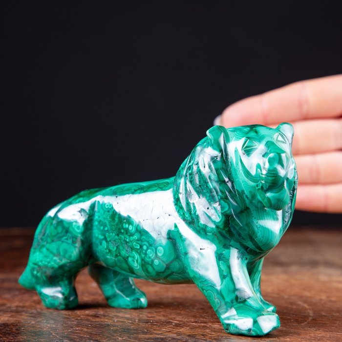 Top Quality Malachite Carving - Lion - Height: 80 mm - Width: 144 mm- 618 g