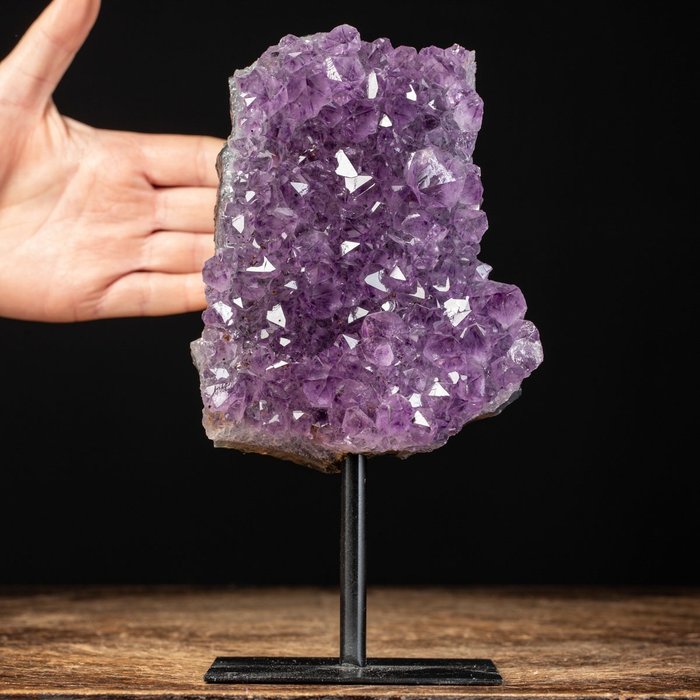 自然奇觀 - 紫水晶晶洞 - 天然深紫色 Drusa - 高度: 200 mm - 闊度: 122 mm- 1267 g