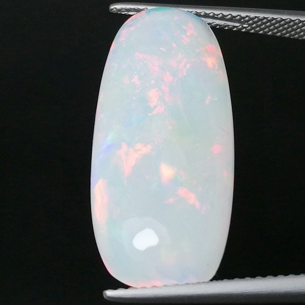 Opal nobil - 13.25 ct