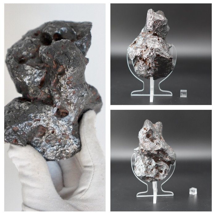Campo del Cielo meteorite Jernmeteorit - 1824 g - (1)
