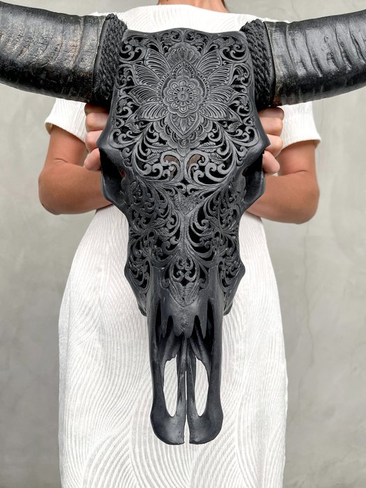 NO RESERVE PRICE - Skull Art - Large authentic hand carved black buffalo skull - Floral motif Carved skull - Bubalus Bubalis - 62 cm - 77 cm - 17 cm- Non-CITES species -  (1)