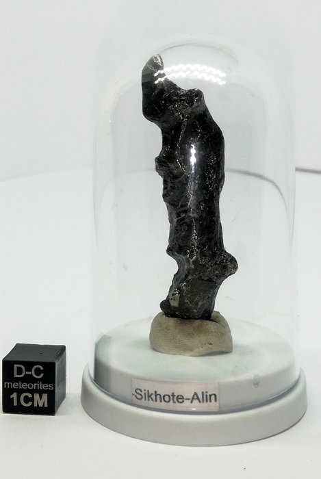 Smukke Sikhote Alin, Regmaglypte, kuppelbase "Ingen reservepris" Jernmeteorit- 14.1 g