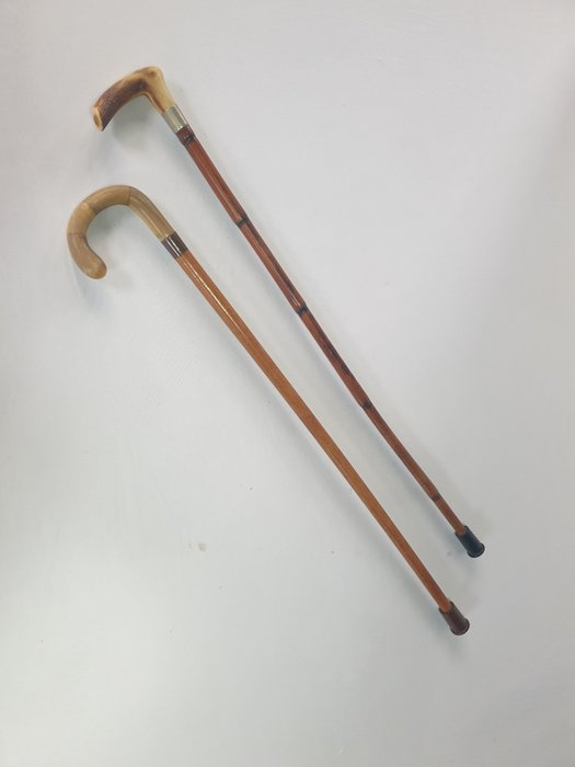 Bastón (2) - 2 bastones antiguos - Madera con patas y mangos de