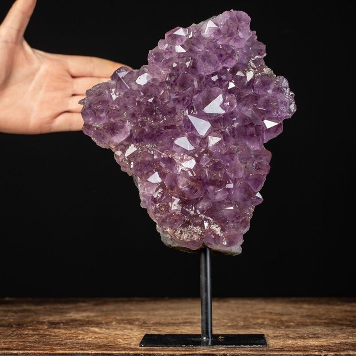 巴西紫水晶晶簇 - 石英“外套”。 - 高度: 270 mm - 宽度: 179 mm- 2531 g