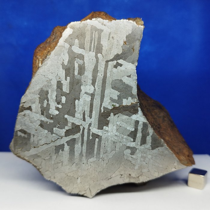 博物館 XL 隕石「CANYON DIABLO」（美國，50,000 年）。來自巴林傑隕石坑！ 雕塑和魏德曼斯塔滕圖案。 - 2820 g