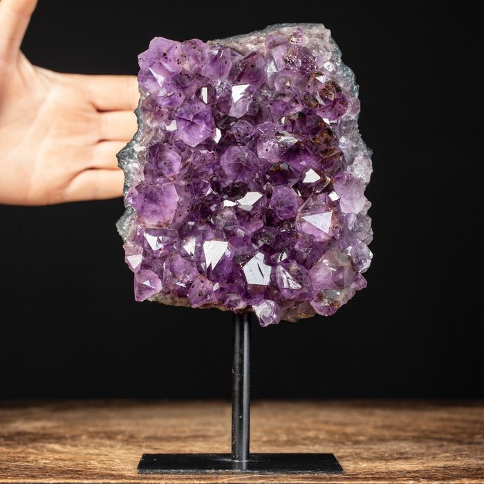 紫水晶 Druzy - 深紫色 - 高度: 227 mm - 闊度: 131 mm- 1828 g