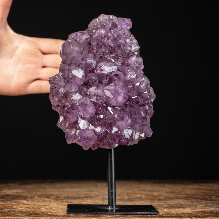 Perfekta kristaller - Ametist Druzy - Naturlig färg - Höjd: 224 mm - Bredd: 121 mm- 1583 g