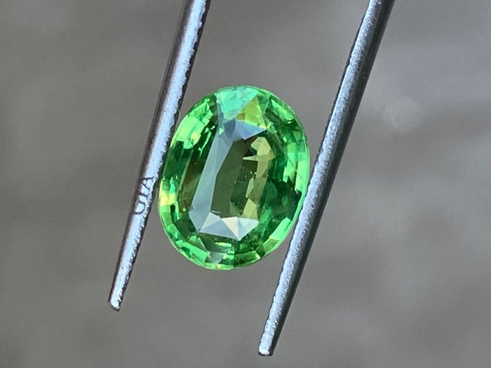 1 pcs  绿色 沙弗莱石  - 3.04 ct - 美国宝石研究院（GIA）