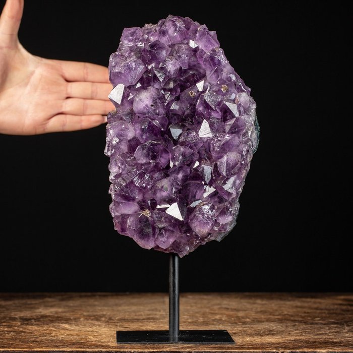 深紫色 - 紫水晶 Druzy - 铁基 - 高度: 285 mm - 宽度: 129 mm- 2682 g