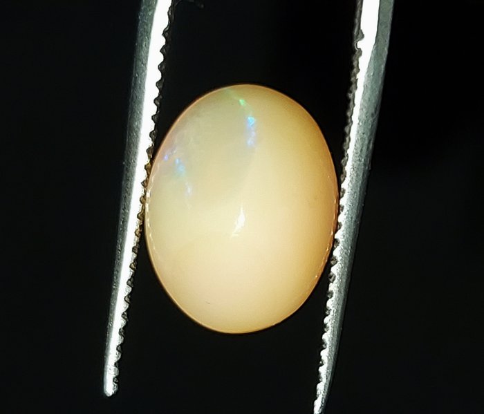 Opal, Kein Mindestpreis - 5.53 ct