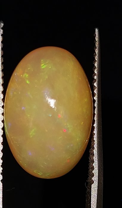 Opal, Ingen reservasjonspris - 8.78 ct
