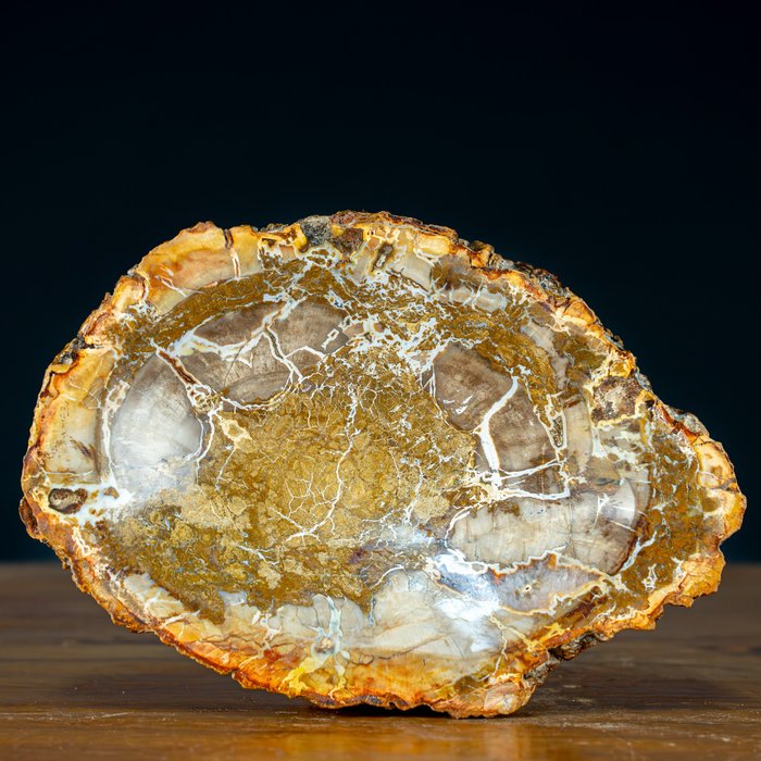 Natuurlijke handgepolijste kom van versteend hout Doorgroeien met kwartskristallen- 1202.34 g