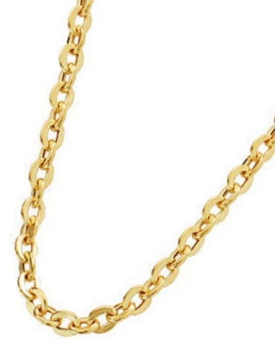 No Reserve Price - Necklace Yellow gold
