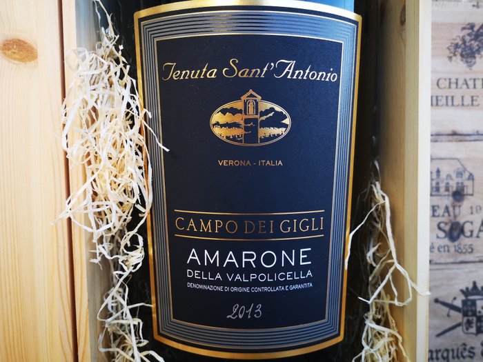 2013 Tenuta Sant'Antonio Campo dei Gigli - Amarone della Valpolicella DOCG - 1 珍宝王瓶 (12.0L)