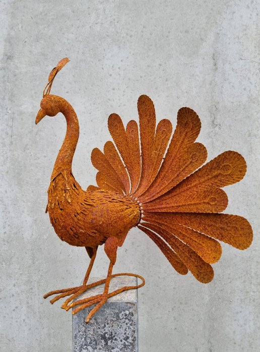 小塑像 - Rusty Peacock - 金屬, 鐵