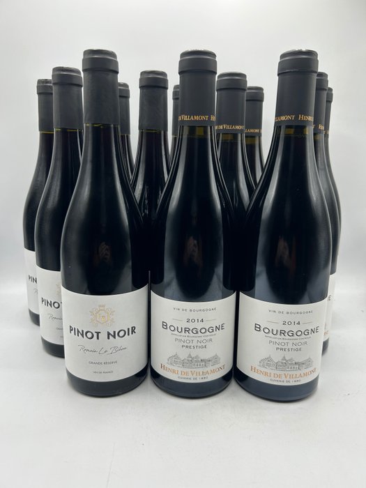x 6 Henri de Villamont Bourgogne Pinot Noir x 6 Romain Le Bihan VDF Pinot Noir - Burgunder, Loire - 12 Flasker  (0,75 l)