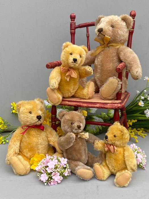Steiff: 5 teddyberen 1950-1960 - Teddybeer - 1950-1960 - Duitsland