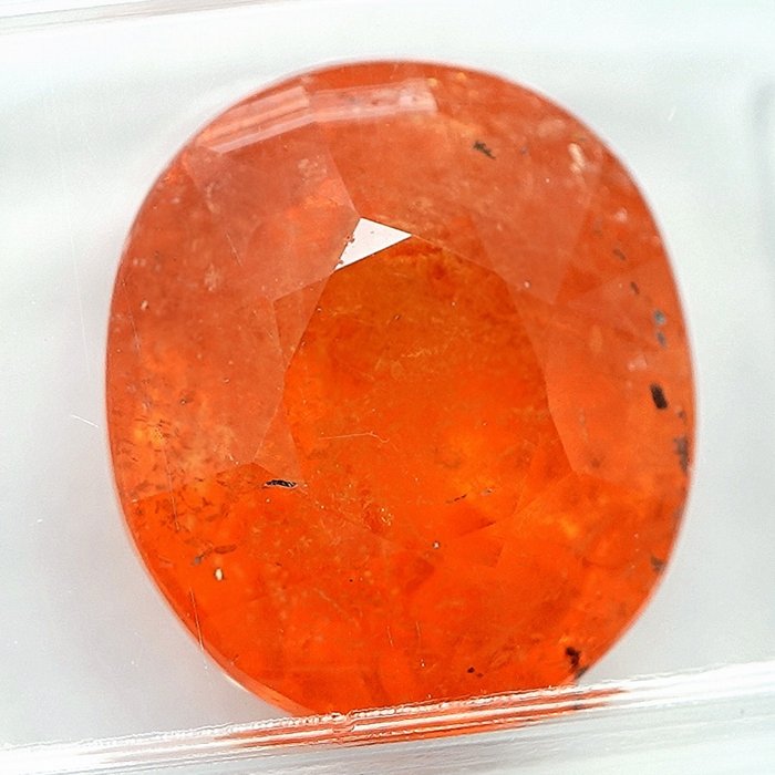石榴石  - 8.94 ct - 国际宝石研究院（IGI）
