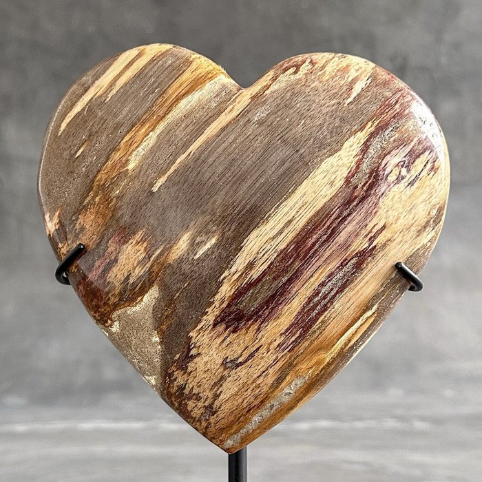 KEIN MINDESTPREIS – Atemberaubendes herzförmiges versteinertes Holz auf einem maßgefertigten Ständer - Versteinertes Holz - Petrified wood - 22 cm - 15 cm