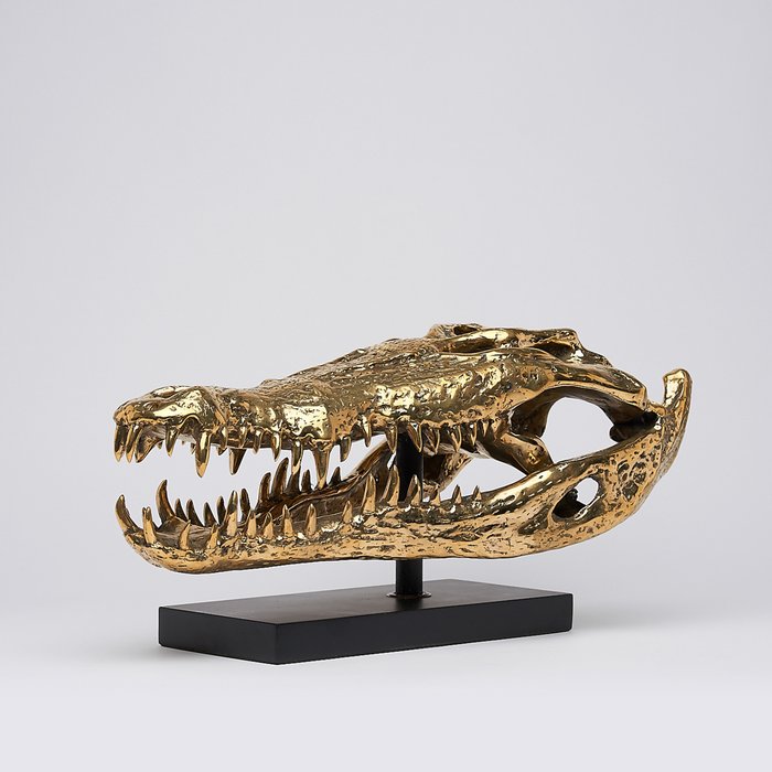 Γλυπτό, Saltwater Crocodile Skull 50cm - 24 cm - Μπρούντζος