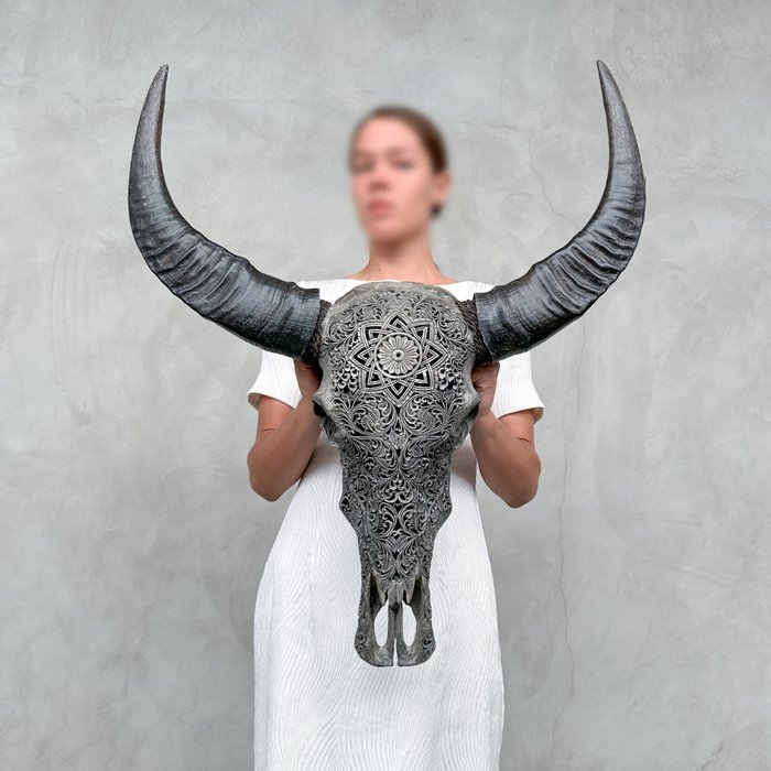 C - Grey Water Buffalo Skull - Star Mandala carving- Utskåret hodeskalle - Bubalus Bubalis - 74 cm - 65 cm - 18 cm- Ikke-CITES arter