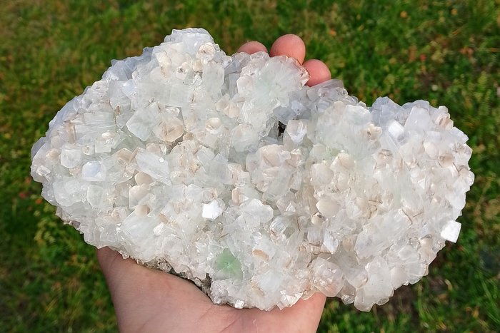 Geweldige Apofylliet Kristal op matrix - Hoogte: 20 cm - Breedte: 10 cm- 1.098 g - (1)