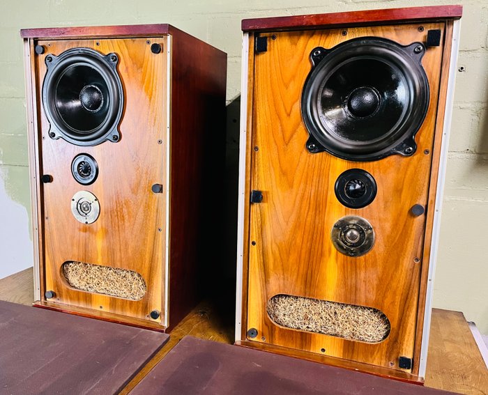 Bower & Wilkins - DM2a (serviced) Speaker set