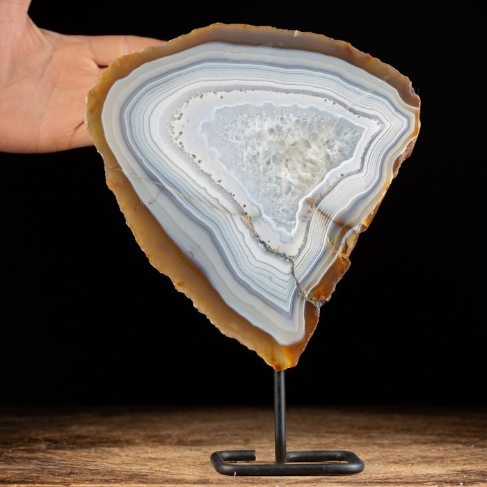 剥皮玛瑙和石英 - 矿物切片 - 晶洞剖面 - 高度: 204 mm - 宽度: 200 mm- 1451 g