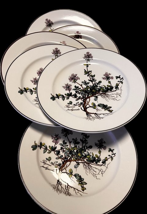 Villeroy & Boch - Dinner set (6) - Botanica - Porcelain