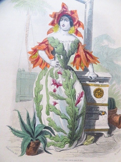 Grandville  / Alphonse Karr, Taxile Delord & le comte Foelix - Les Fleurs Animées par J.J. Grandville - 1867