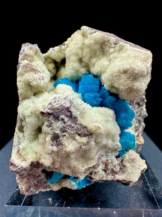 令人难以置信的电蓝色钙锰矿晶洞，样品的几个地方有不同的结晶 私人收藏 - 高度: 4.6 cm - 宽度: 3.7 cm- 65 g - (1)