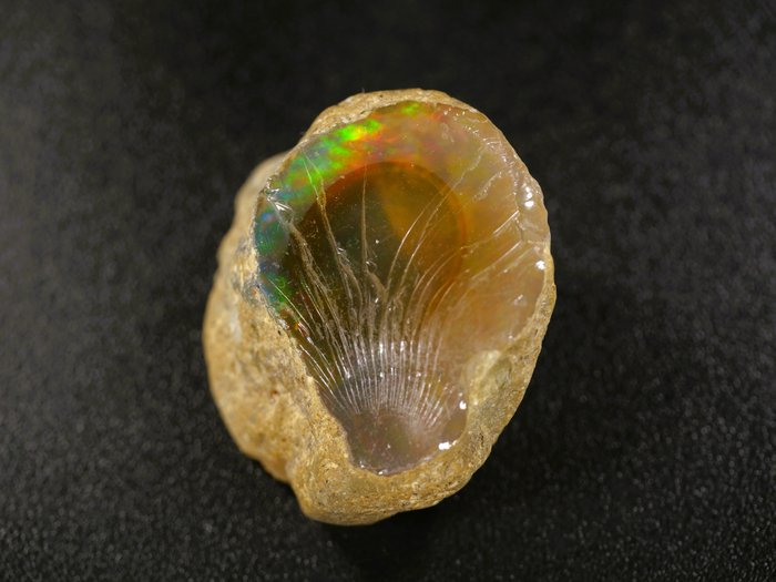 无储备水晶蛋白石原形 粗糙 - 高度: 29 mm - 宽度: 35 mm- 25 g - (1)