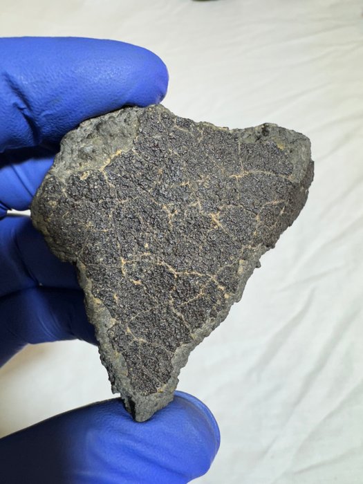Die Geheimnisse enthüllen: Nicht klassifizierter CK-Meteorit Kohliger Chondrit - 72 g - (1)