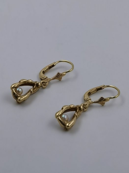 Earrings - 14 kt. Yellow gold 