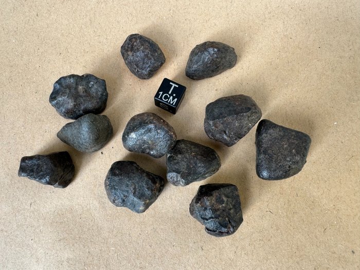 Osztályozatlan kondrit-meteoritok gyűjteménye NWA xxx - 104.8 g - (11)