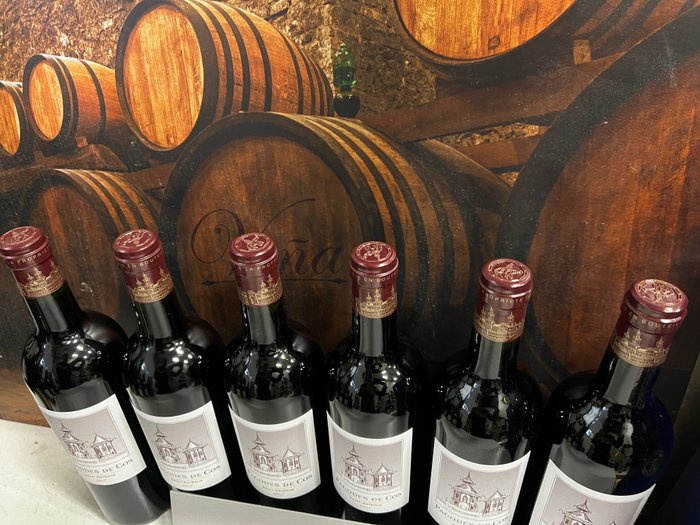 2017 Pagodes des Cos, 2nd wine Ch. Cos d’Estournel – Saint-Julien – 6 Flessen (0.75 liter)