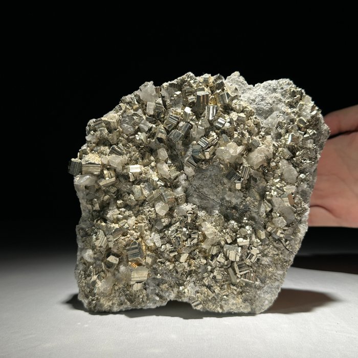 Pyrit Kryształowe grono - Wysokość: 15 cm - Szerokość: 15 cm- 2400 g - (1)