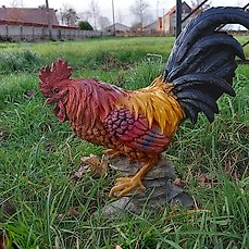 Beeld, Beautiful sculpture of a rooster – 44 cm – polyresin